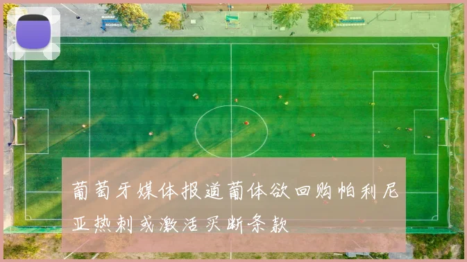 葡萄牙媒体报道葡体欲回购帕利尼亚热刺或激活买断条款