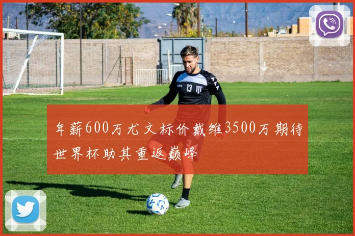 年薪600万尤文标价戴维3500万期待世界杯助其重返巅峰